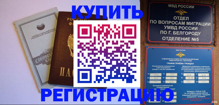 прописка гарантия в Райчихинске